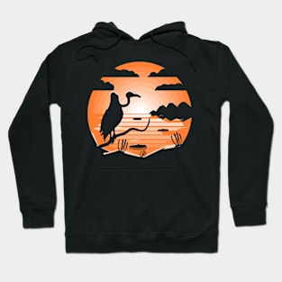 Vulture Bird Retro Sunset Color Hoodie